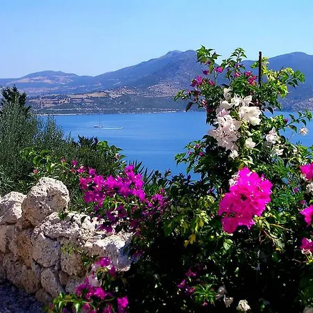 Del Arte, Amazing Sea View, 300m From The Ligia